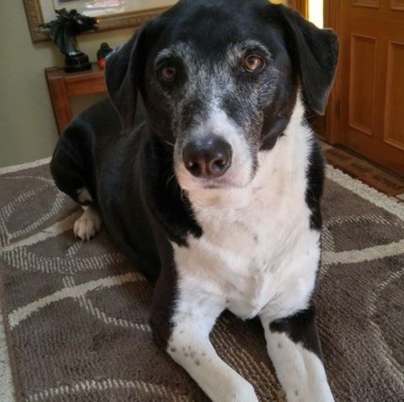 Meet your Posher, Katrina - Picture 1 of 1